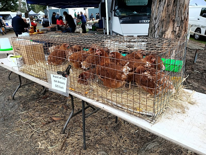 Whittlesea Monday Market