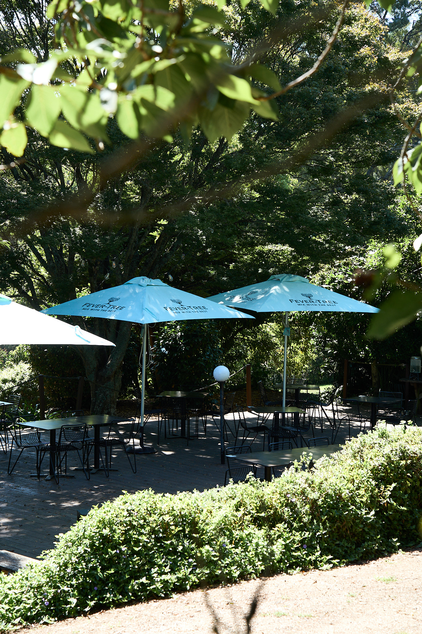 Restaurant photography