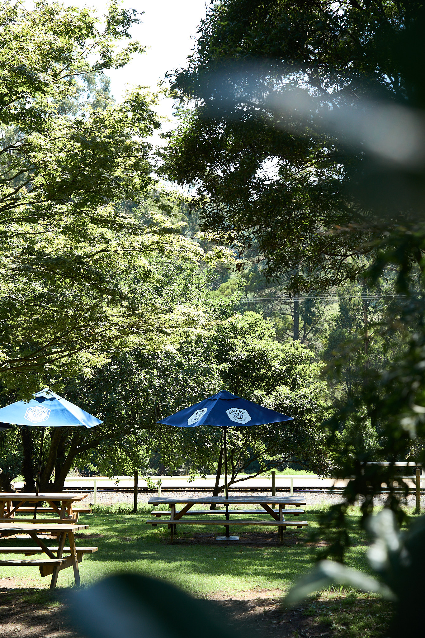 Restaurant photography