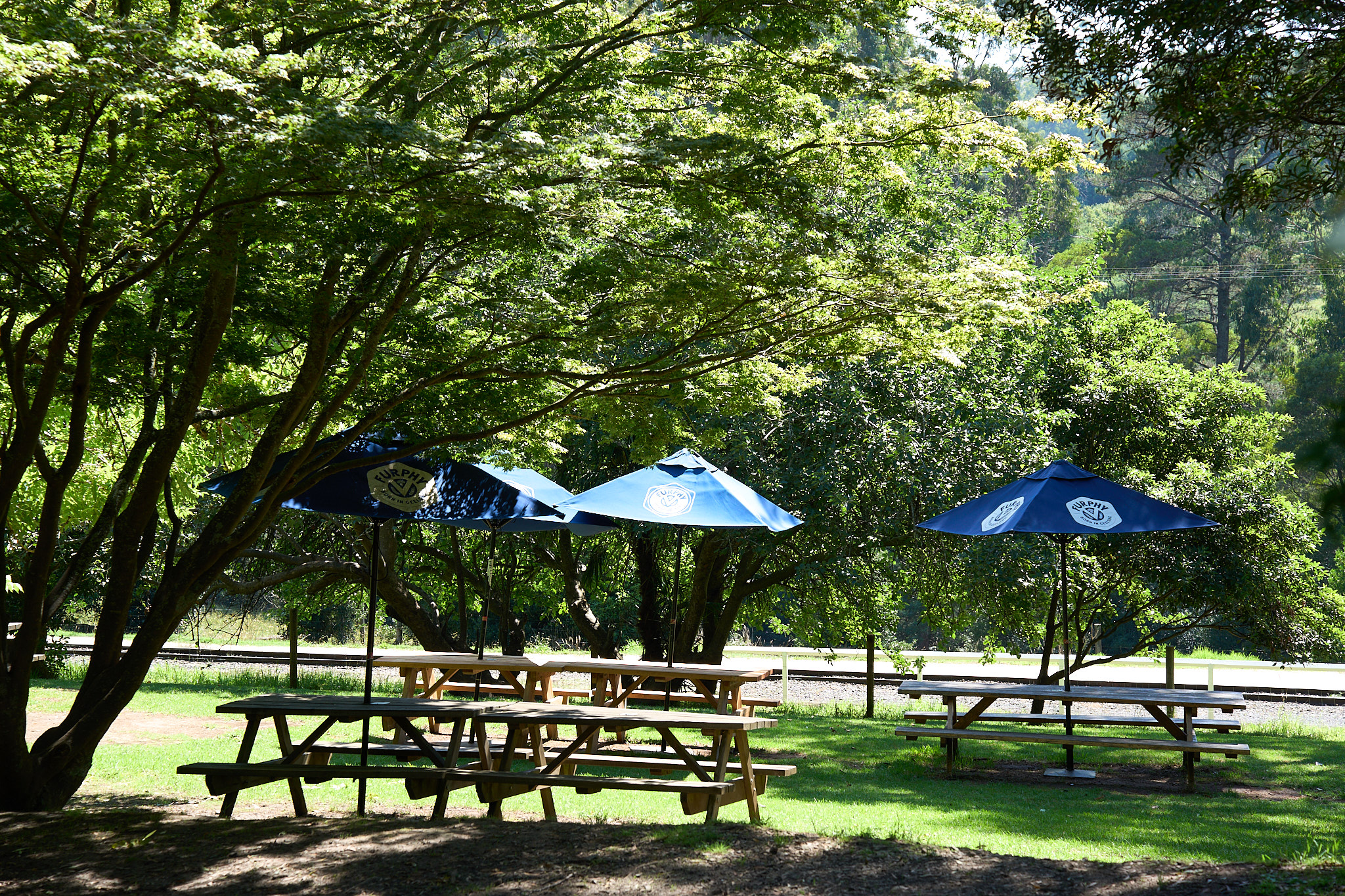 Restaurant photography