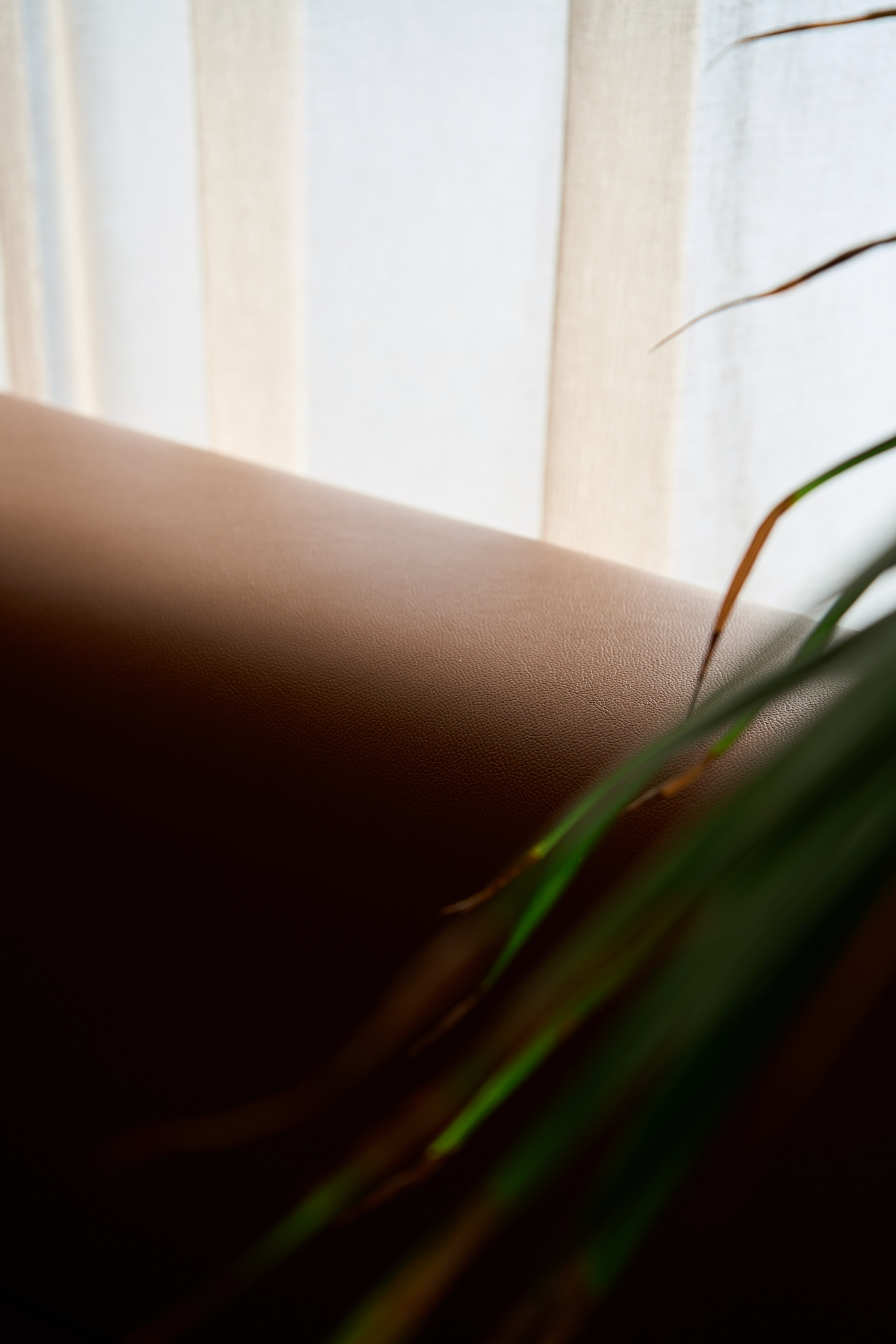 Restaurant photography