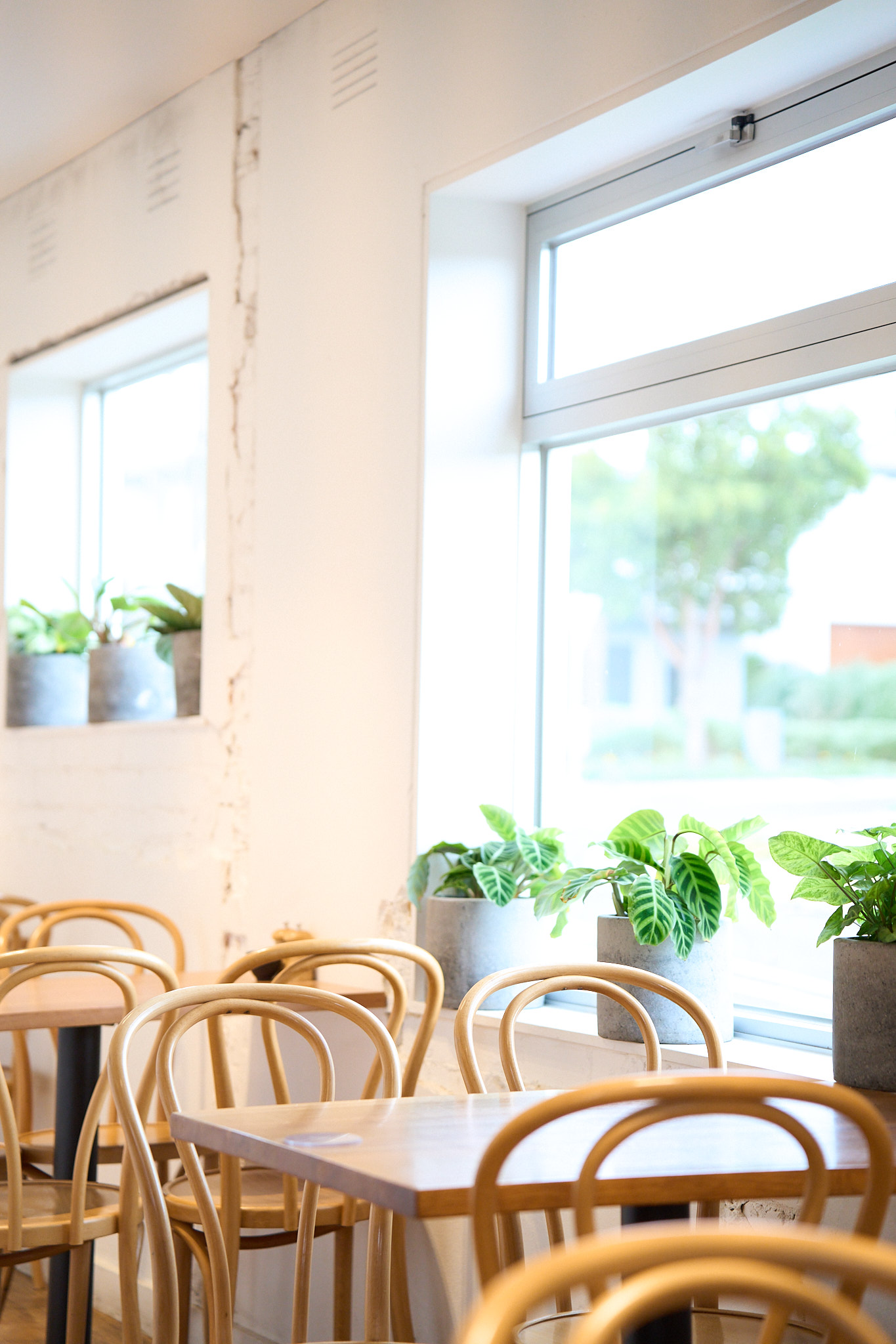 Restaurant photography